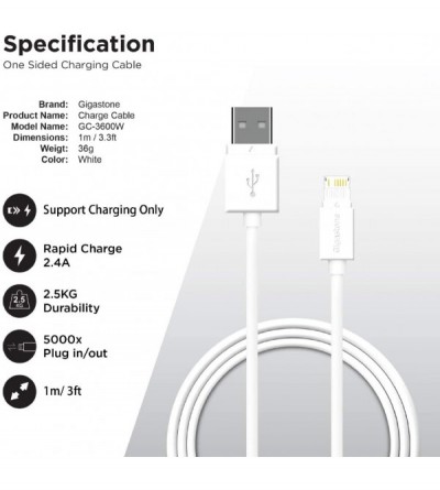 Vibrators 3ft 4-Pack Charging Cable for Lightning Devices- Fast Charge 12W 5V 2.4A Compatible iPad iPhone Xs/XR/XSMax/X/7/7Pl...