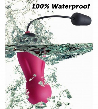 Vibrators G Spot Clitoral Vibrator - Waterproof 10X Rechargeable Wireless Remote Bullet Vibrator - Vibrating Egg for Women- R...