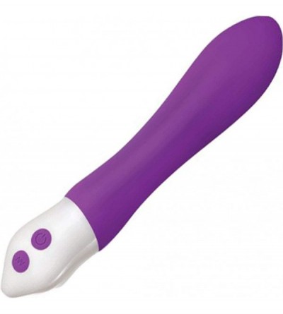 Vibrators Heroine Smooth Silicone Vibrator- Purple - CM18NQDWU4O $61.62