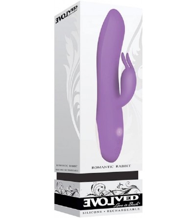 Vibrators Romantic Rabbit Clit Vibe 10 Function Silicone Rechargable Vibrator - Purple with Free Bottle of Adult Toy Cleaner ...