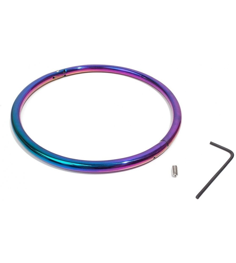 Restraints Stainless Steel Rainbow Collar 17" - CK12M1F5CFV $29.60