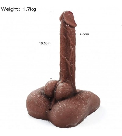 Dildos Dildo&Anal 2in1 Features Soft Realistic Dildo Anal Dildo for Beginner Deluxe Lifelike Torso&Dildo Personal Relaxation ...