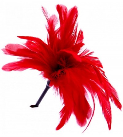 Paddles, Whips & Ticklers Fetish Feathers Teasing Leather Pole Feather Toy - Red - CD18XSWKZAA $36.66