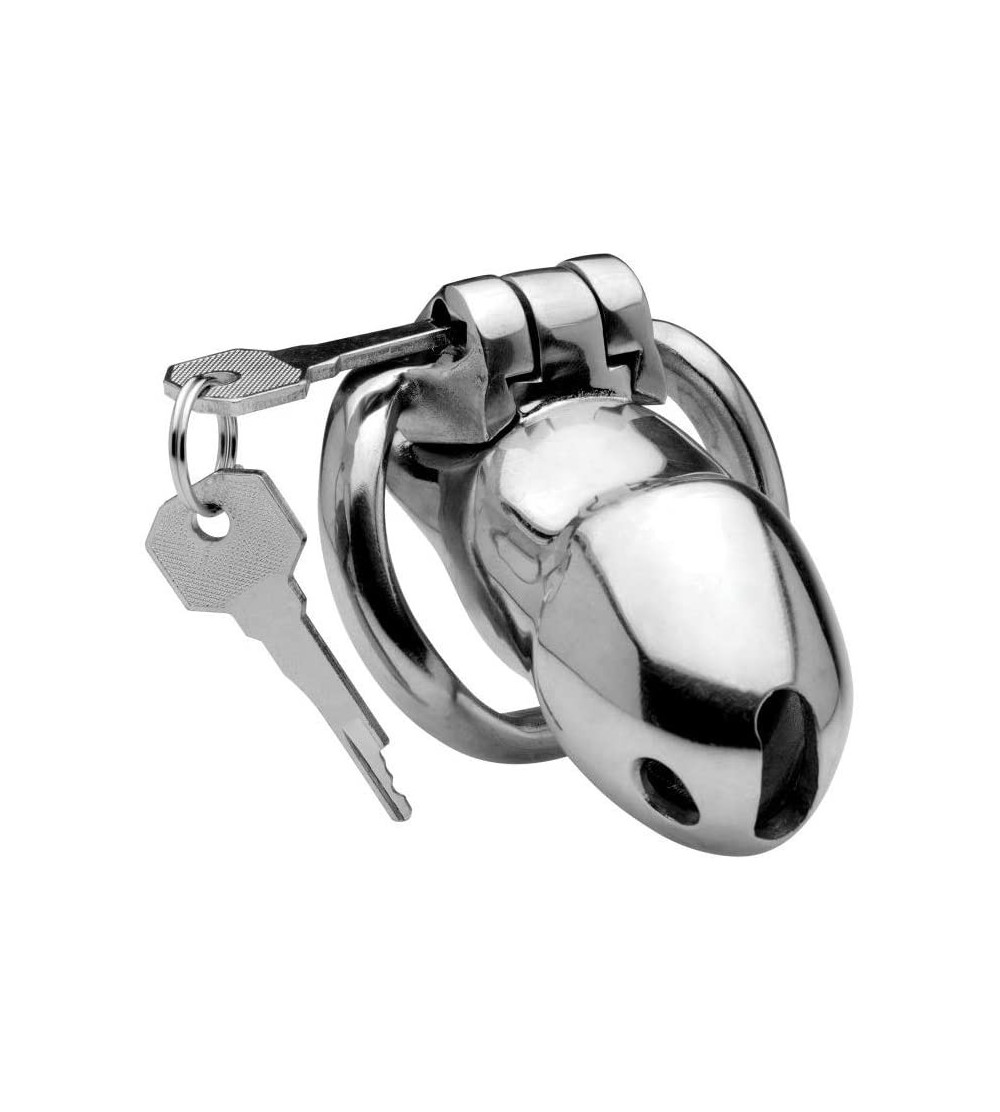 Chastity Devices Rikers 24-7 Stainless Steel Locking Chastity Cage - CQ18728Z56I $41.77