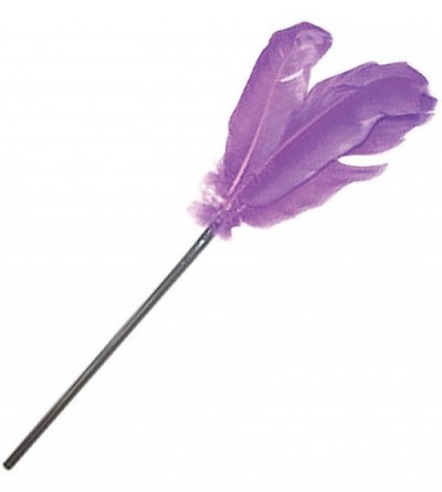 Paddles, Whips & Ticklers Purple Feather Tickler Sexy Fifty Shades of Grey 50 Tease French - CW17YIN6XYD $22.12