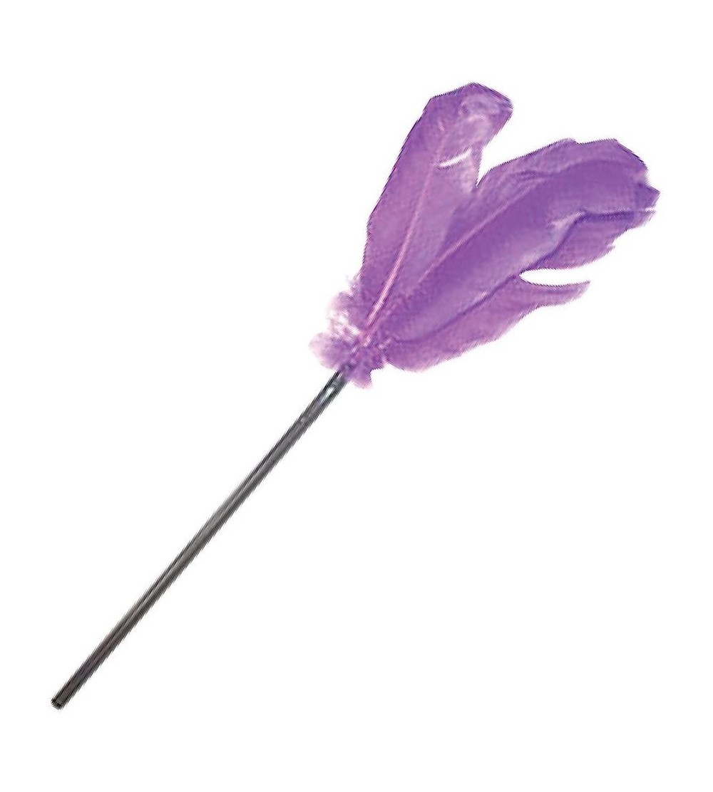 Paddles, Whips & Ticklers Purple Feather Tickler Sexy Fifty Shades of Grey 50 Tease French - CW17YIN6XYD $10.34